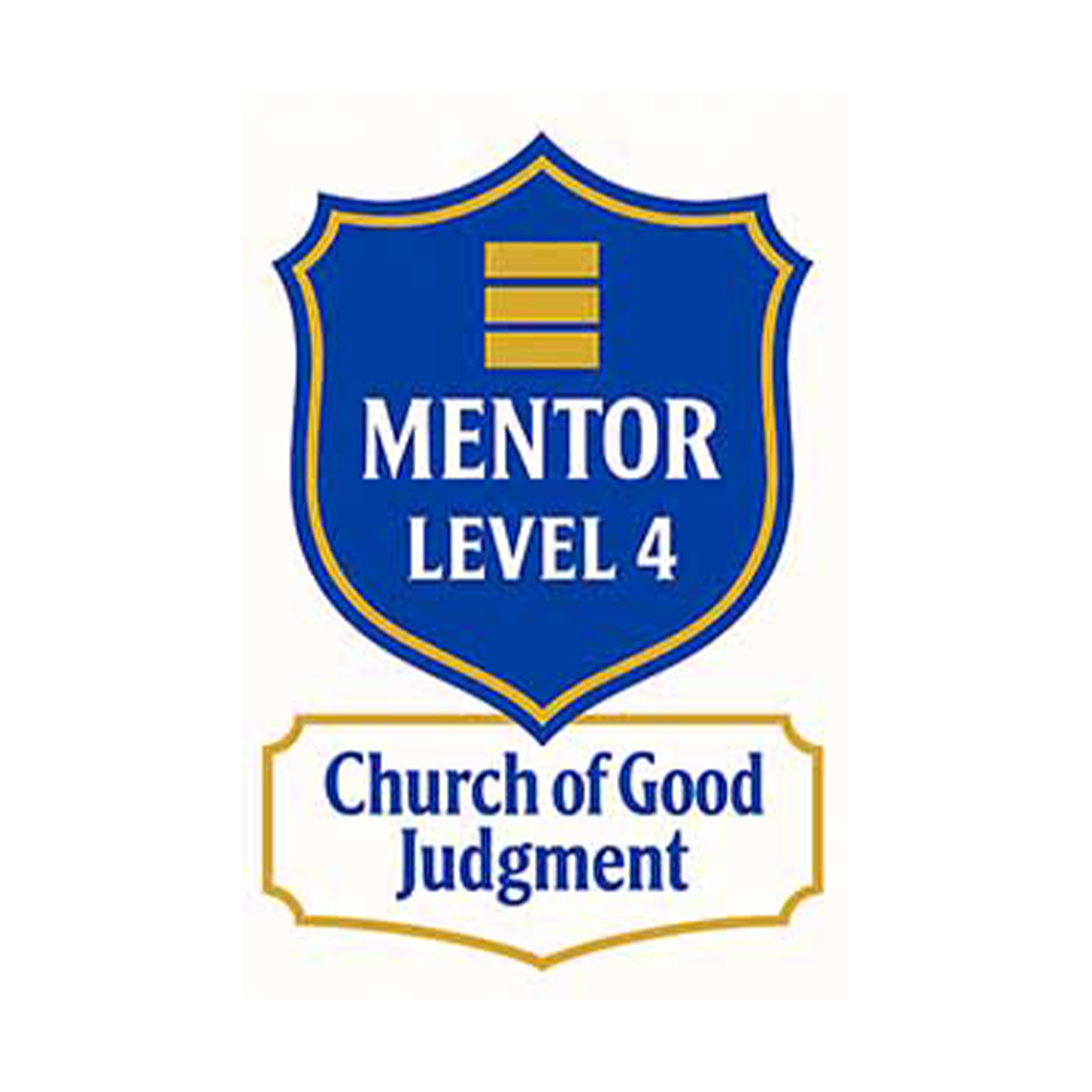 Level 4. Mentor
